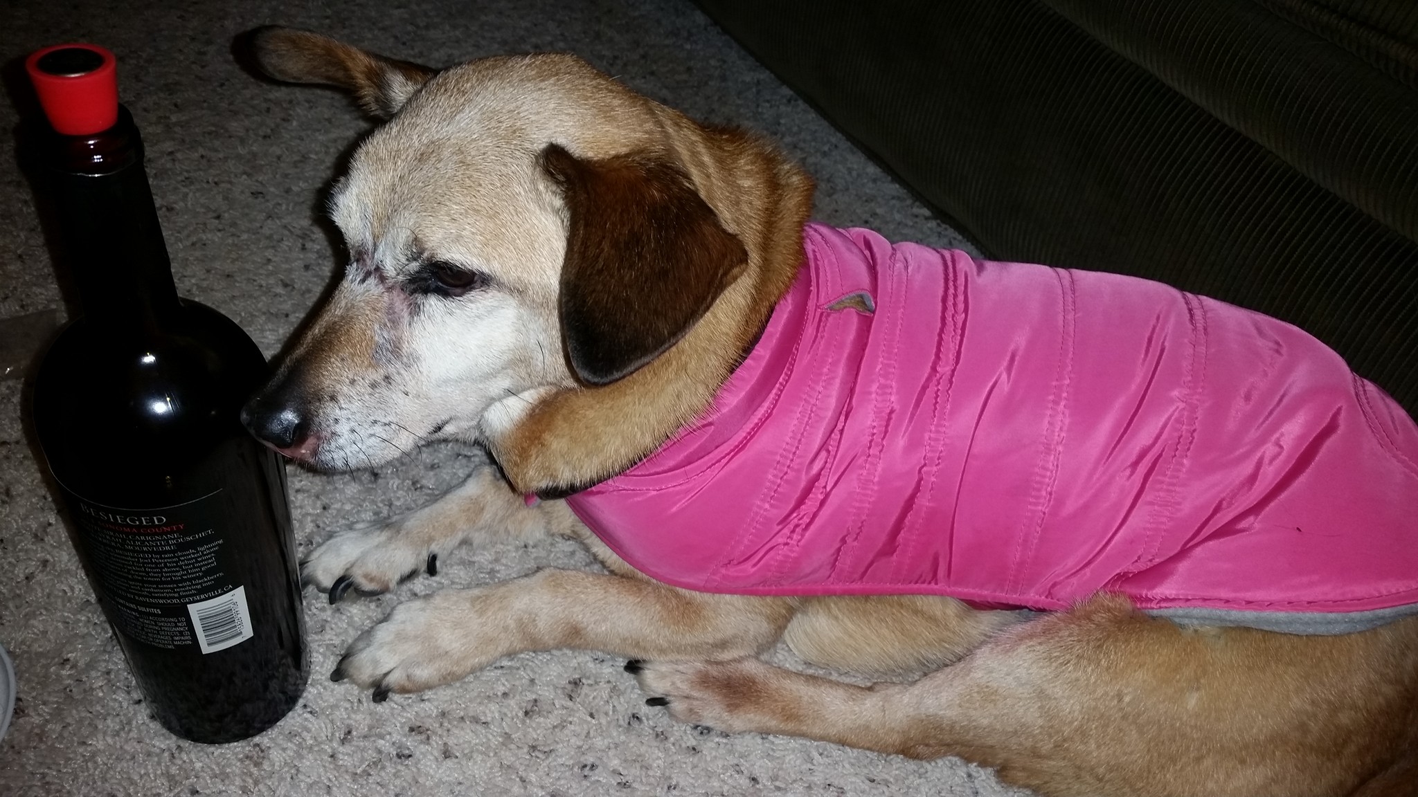 29749788_10155504792688806_394914045929843822_o (1).jpg