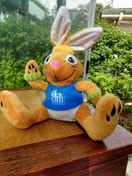 IMG_20180704_170315103_HDR