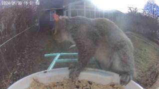 Every Day is a Holiday (Holiday Blog Challenge&nbsp;#1)